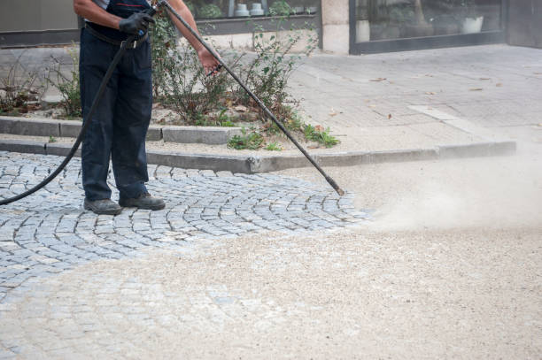 Best Roof Washing  in Eslon, CA