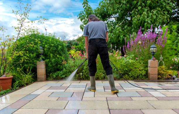 Best Winterizing Services  in Eslon, CA