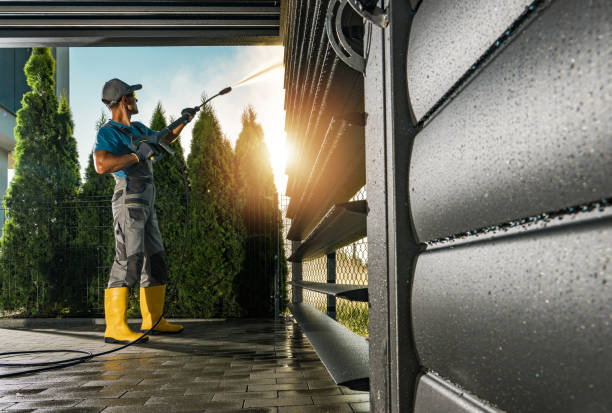 Best Driveway Pressure Washing  in Eslon, CA